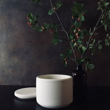 Load image into Gallery viewer, Lemon + Coconut Scented Candle