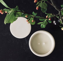 Load image into Gallery viewer, Lemon + Coconut Scented Candle